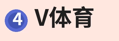 V体育